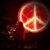 Jackie McCulligh Golden's profile image
