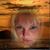 Dawn Moore-Davis's profile image