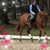 Christine Wertz's profile image