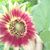 DeAnna Leslie's profile image