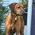 Judie Goyette Zona's profile image
