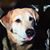 Evelyn Radich's profile image