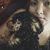 Kristine Reyes's profile image
