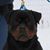 Dale Gowen Jr.'s profile image
