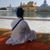 ਮਨੀ ਸਿੰਘ's profile image