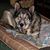 Tammy Keck's profile image