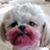 Kathy Allen's profile image