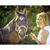 Kim Donlon's profile image