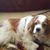 Renee Jeanne Jacqueline Emerson's profile image