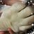 Maribeth Mehl-Walker's profile image