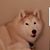 Peggy Jekel Wright's profile image