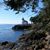 Natalie Mcrobie's profile image