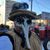 Rafael Monzon's profile image