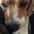 Heather Suter-Serck's profile image