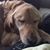 Pam Finney Havens's profile image