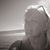 Anita Nilsson Forster's profile image