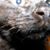 Tecoya Wocky's profile image