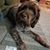 Melinda Thompson's profile image