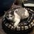 Susie Voytko Patterson's profile image