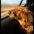 Jeanne Bebler Lafferty's profile image