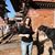 Isabella Waldman's profile image