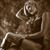 Heather Beaulieu's profile image