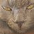 MaryLee Rolston Theus's profile image