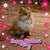 Angela Barlow's profile image