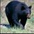 Christine Jones's profile image