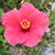 Melissa Bennett Williams's profile image