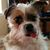 Janya Bishop's profile image