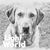 Bonnie Fenn Taylor's profile image
