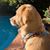 Vicki Tichenor's profile image