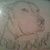Candace Gilmour's profile image