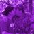 Patti Tate Cummins's profile image