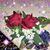 Sandra J Gordon's profile image