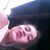 Maria Stella Giannini's profile image