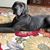 Laura Baez's profile image