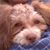 Rachel Dawson's profile image