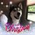 Amy Stack's profile image