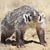 Steven Badger Ferris's profile image
