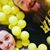 Janine Anne Robinfield's profile image