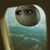 Dusty Fontenot's profile image
