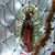 Ana Hernandez De Rodriguez's profile image