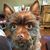 Kathi Zakrzewski's profile image