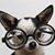 Cathy Toms's profile image