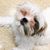 Zeny Cura's profile image