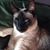 Lori Turner's profile image
