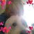 Charmaine Damagata Gagen's profile image
