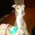 David Minder's profile image